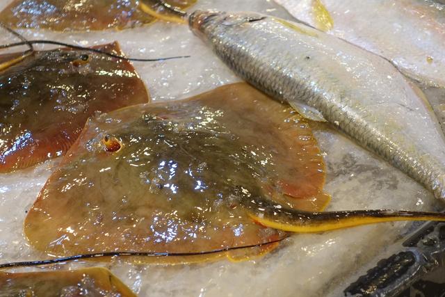 这种飞鱼在日本是极品海鲜,400元一斤,在舟山