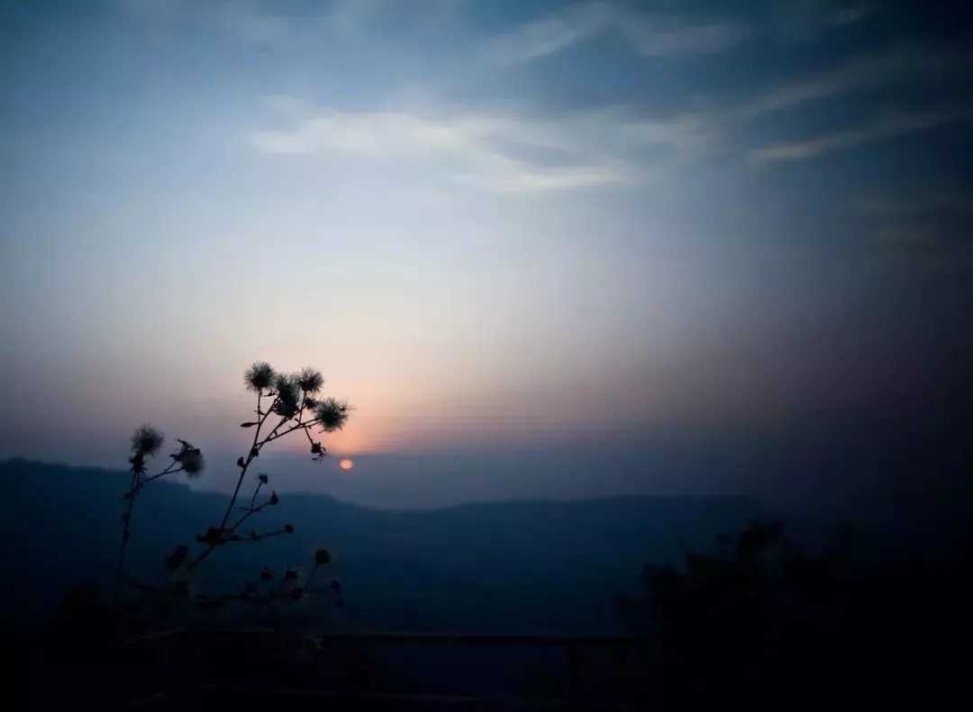 巴南民宿-芷·山谷里,安安静静地放空自己,简简