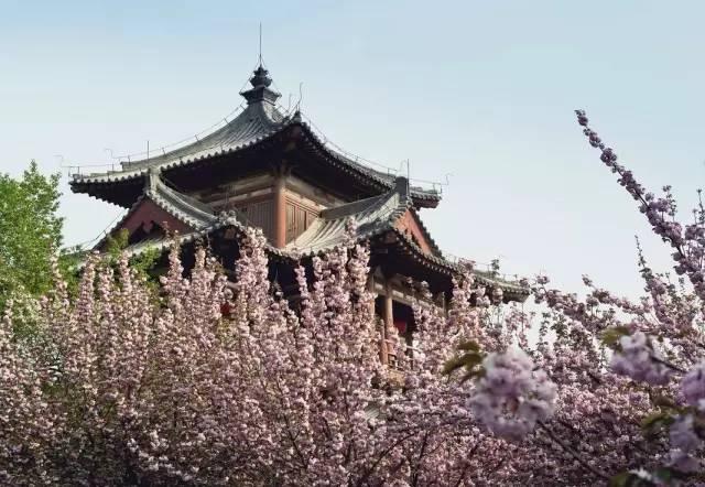 在西安,这些地方适合情侣们去游玩