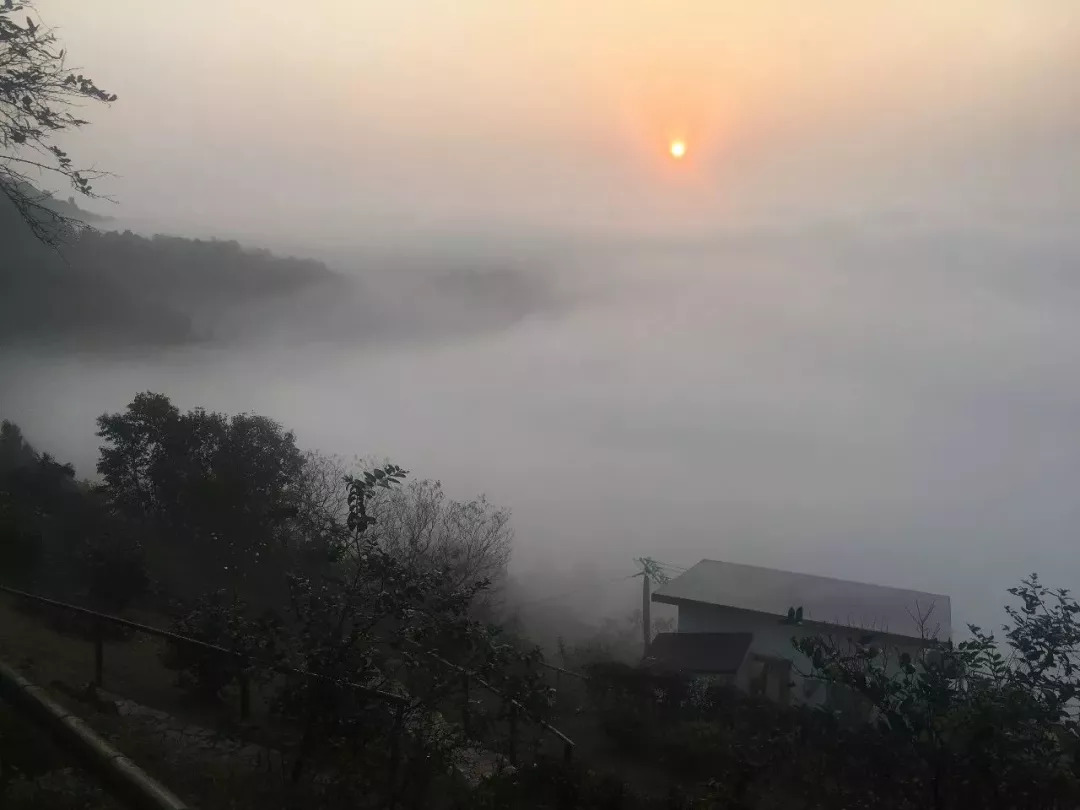 巴南民宿-芷·山谷里,安安静静地放空自己,简简