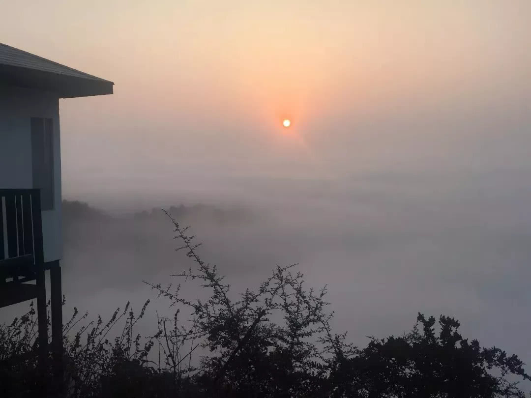 巴南民宿-芷·山谷里,安安静静地放空自己,简简