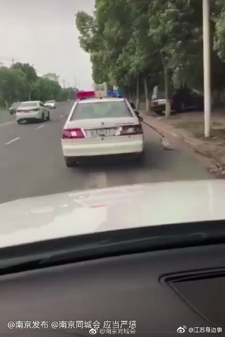 网曝南京警车虐狗？警方通报情况