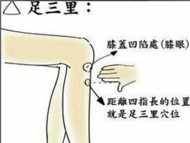 中医按摩减穴位肥瘦篇|穴位|减肥|药物_新浪网大腿瘦身大腿图片