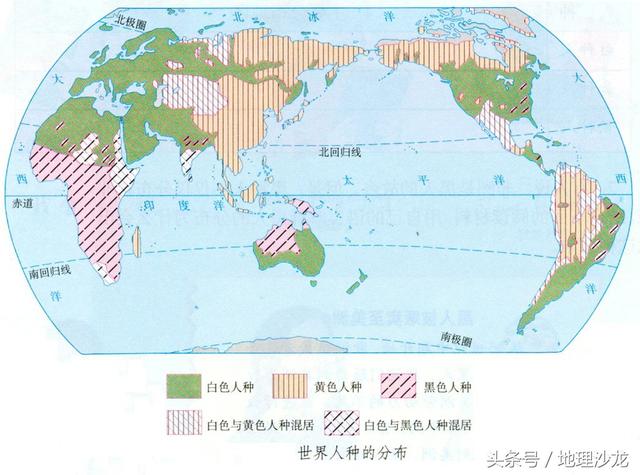 从美国前总统奥巴马讲世界人种及分布