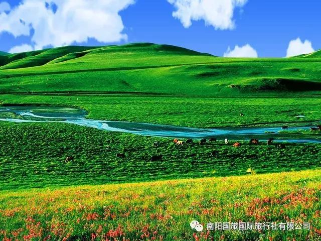 977~ 快报名去青海:南阳电台交通广播这几名男