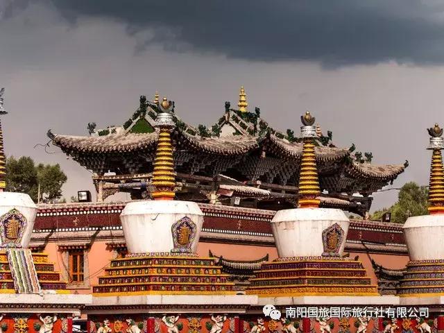 977~ 快报名去青海:南阳电台交通广播这几名男