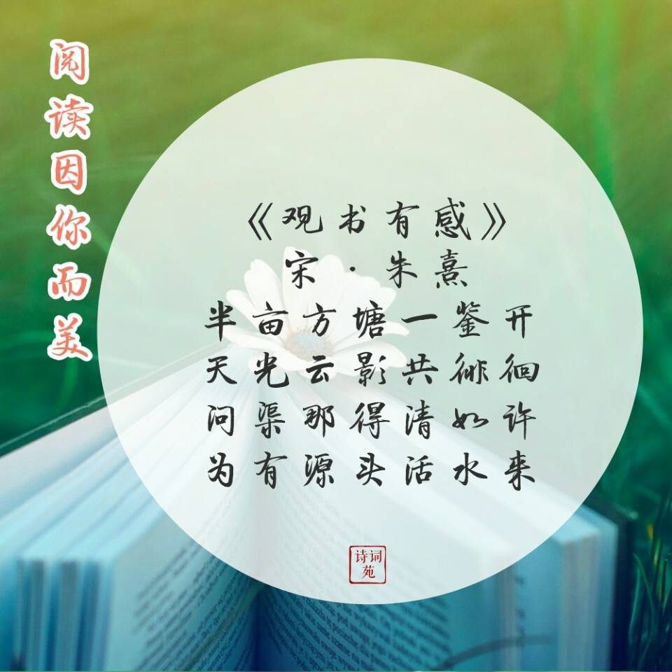 阅读因你而美,"读书破万卷,下笔如有神"|读书破万卷|古诗词|读书