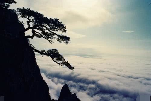 庐山真面目:对中国人收费,却对日韩免费,网友:再