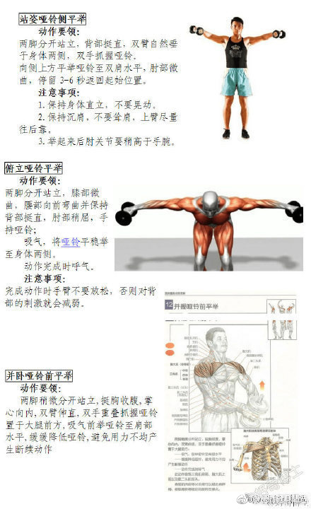 身体各部位哑铃肌肉健身图解!想练哪里一目了然,转而收藏之.