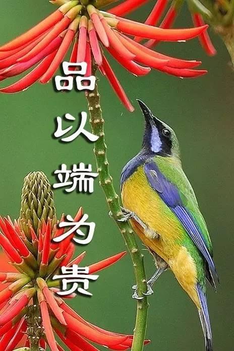 家以和为贵