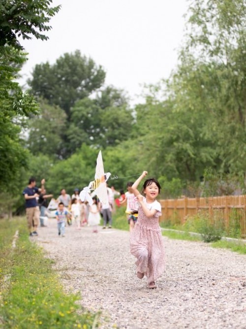 5.20世界蜜蜂日系列活动在春之谷学园举行