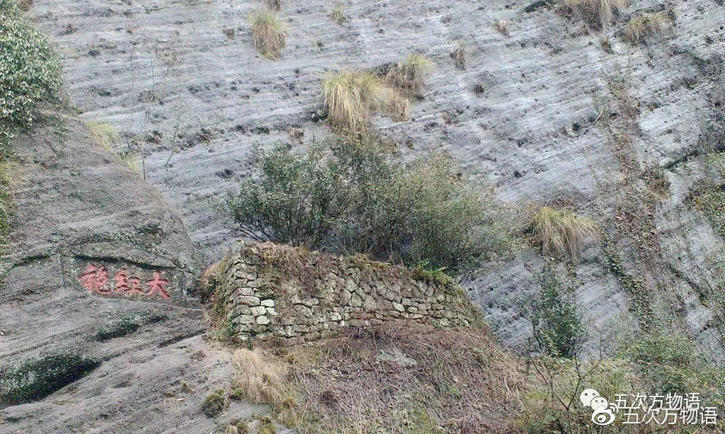 武夷山行记:大红袍是没有武警把守的