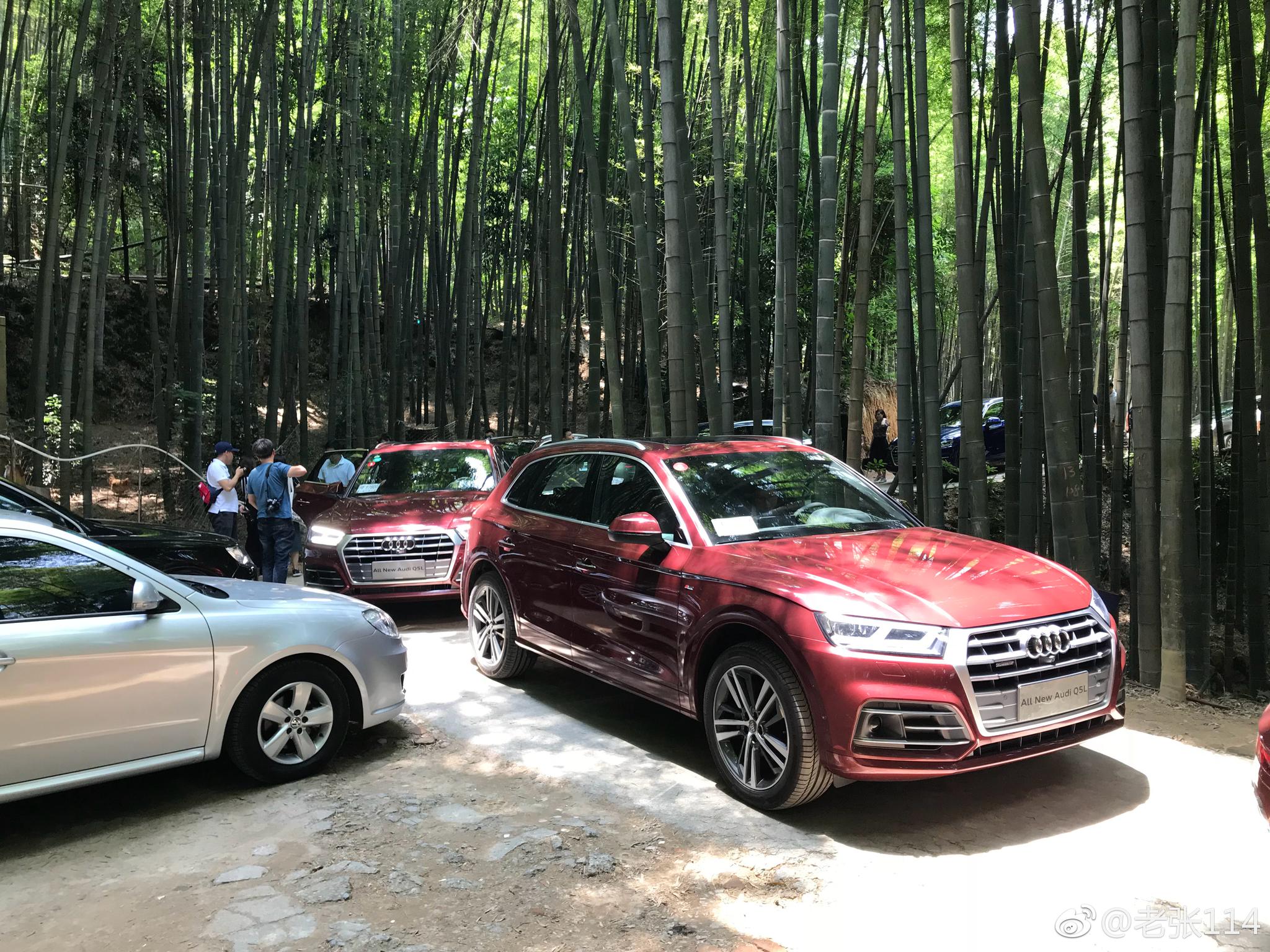 今天在重庆北碚区的缙云山试驾全新奥迪Q5L。