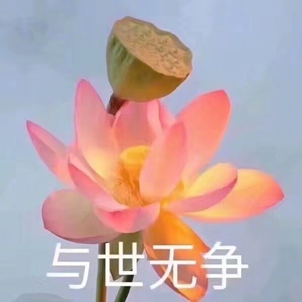 这些花儿送给佛系的自己,放松心情,一切随缘!