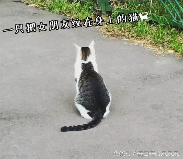 分享几张搞笑图,笑到抽筋,你们看过吗?