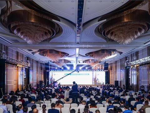 众泰大迈杨国华：新能源发展趋势及契机