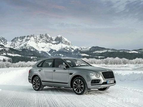 “宾利“最全资讯一网打尽，有我就够了