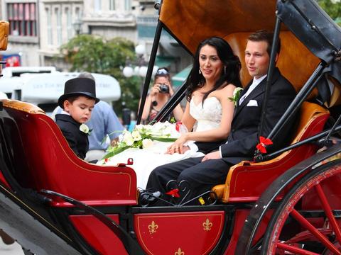 如何在朋友面前装个x，敞篷轿跑名字那么多，你分得清吗？