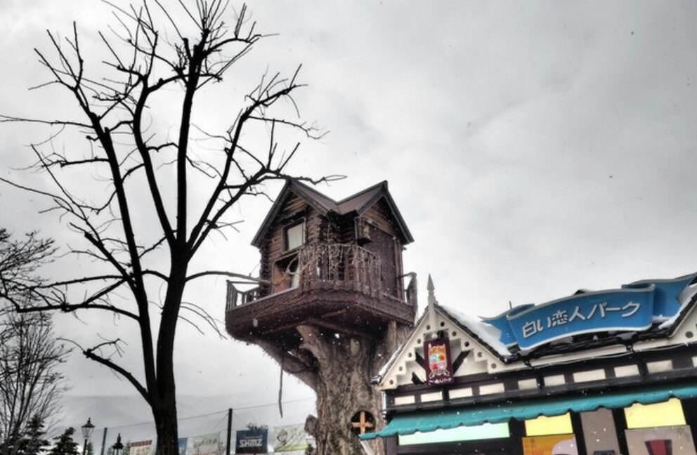 北海道亲子游攻略(附必游景点、住宿指南、行