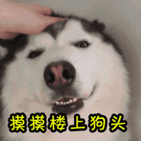 200_200gif 动态图 动图