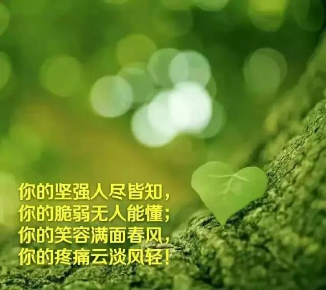 走自己的路过自己的生活