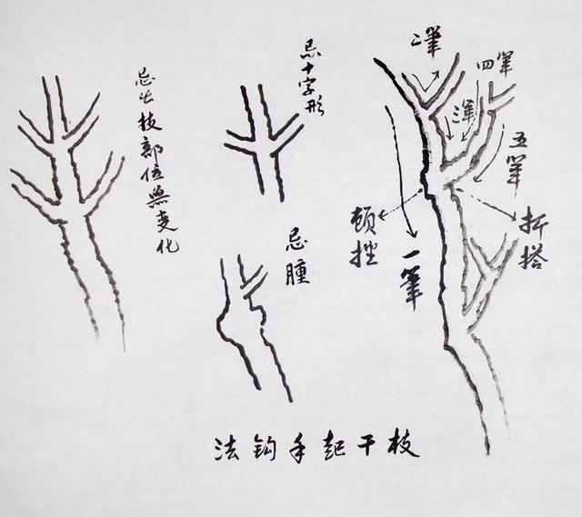 王玉池教授山水画基础技法教学讲义2山水画中树的画法1