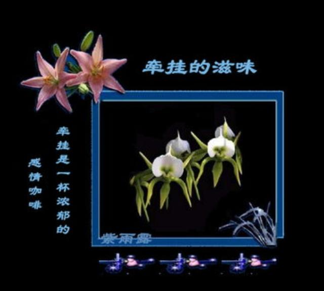 牵挂,是一种说不出的痛