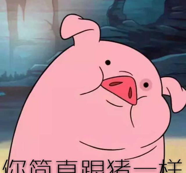 我们家地里唯一的一颗小白菜, 就要被猪拱了