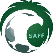 2018年俄罗斯世界杯巡礼:32支球队介绍--沙特