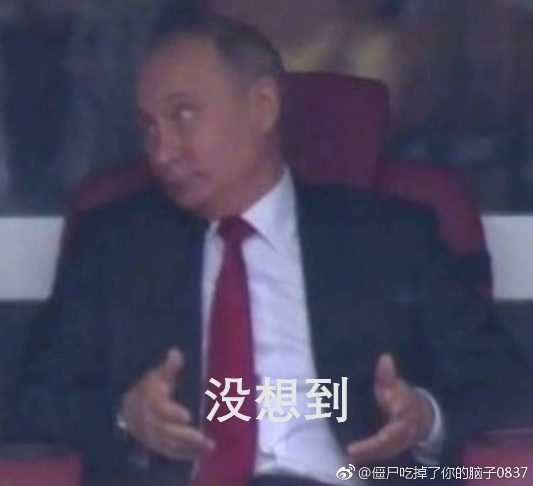 昨天俄罗斯普京和沙特王储的对话表情包这样排