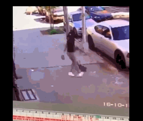 主人可能是惊吓过度了,居然没有第一时间去救狗狗,而是冲进店里.