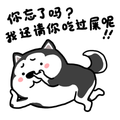 当代绝伦无比搞笑表情包,看过就不会错过哦!