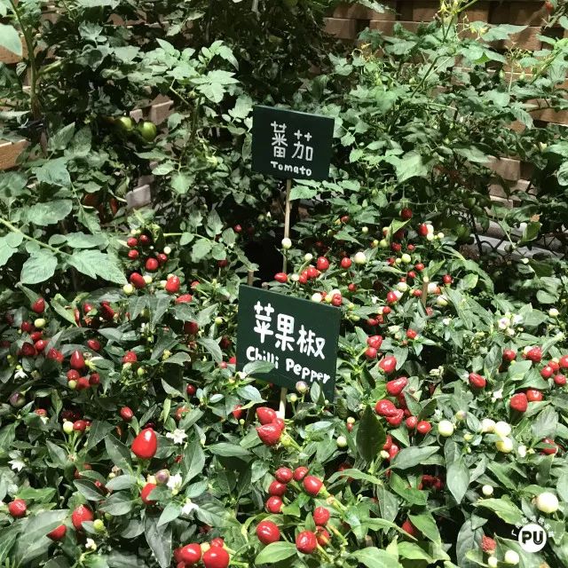 2018年最值得逛的购物中心广州k11终于开业了！