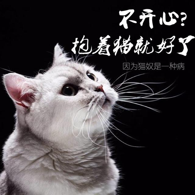 我了解完情况,忍不住想笑!
