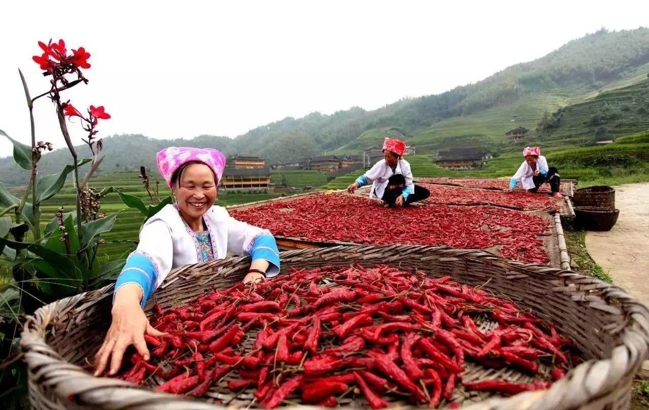 桂林,广西吃辣椒的水平一般,但侗族居民吃辣厉害,柳州也还可以.