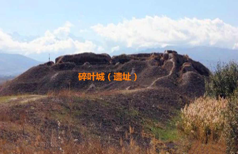 当游客来到他乡的碎叶城，看守遗址的女性一句话让众人彻底无语!