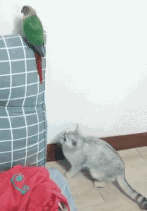 搞笑gif图精选:蚊子:这辈子都没想过会是这种死法!