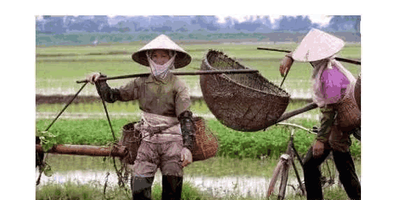 中国被越南评为最发达亚洲国家, 那中国有多发