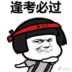 界首2018年中考3个考点221个考场示意图公布