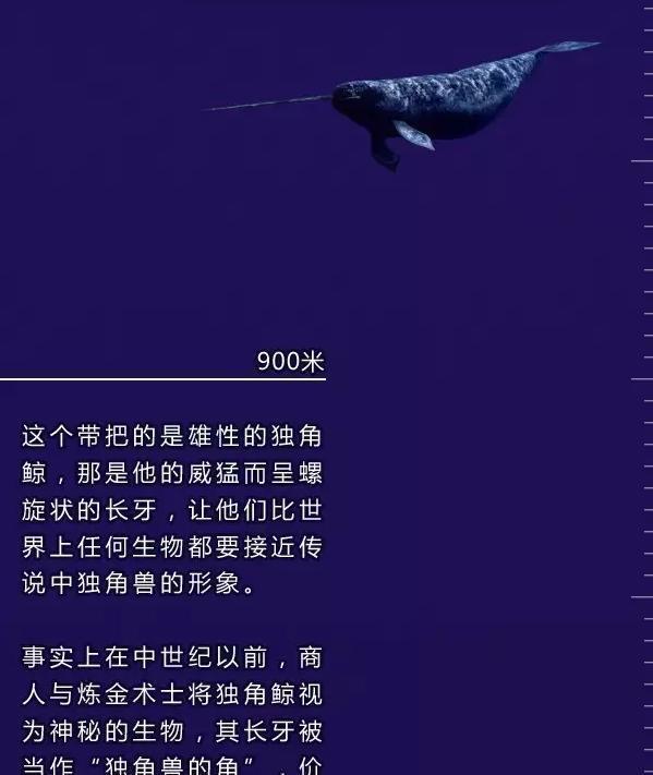 深海恐惧症勿点, 带你一起下潜深海一万米