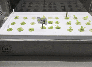 2018年最值得逛的购物中心广州k11终于开业了！