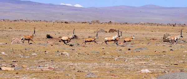 这些
处所已没有人去
游览了, 由于曾
产生这些过
可怕的故事!