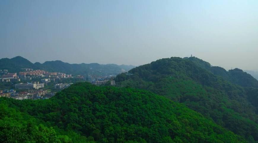 外媒: 未来中国的第一大城市会是重庆, 但国人好