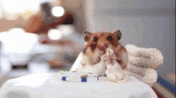 新车免费开三年，每月补贴200油费，别以为你赚了，实则风险极大