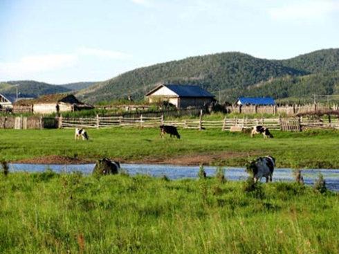 同是发展中国家，9张图告诉你阿根廷为什么是农业强国