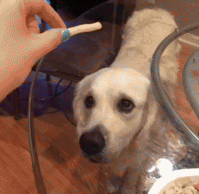 这是我见过最牛的一字马