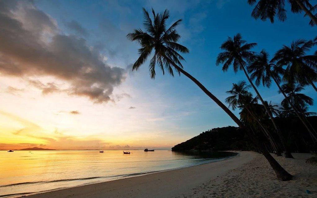 假日海滩图片_纵览新闻