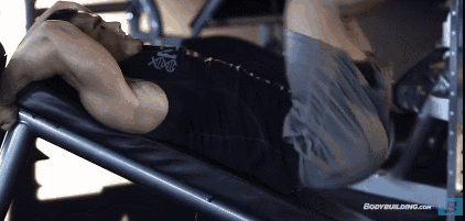 fst-7训练法丨背部&腹肌撕裂者