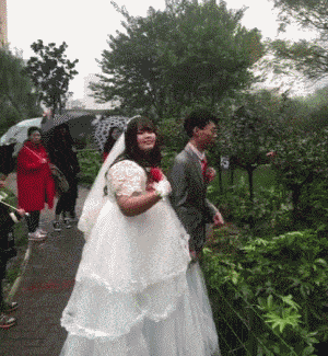 爆笑gif段子: 这婚结的, 新郎新娘都不愿意了