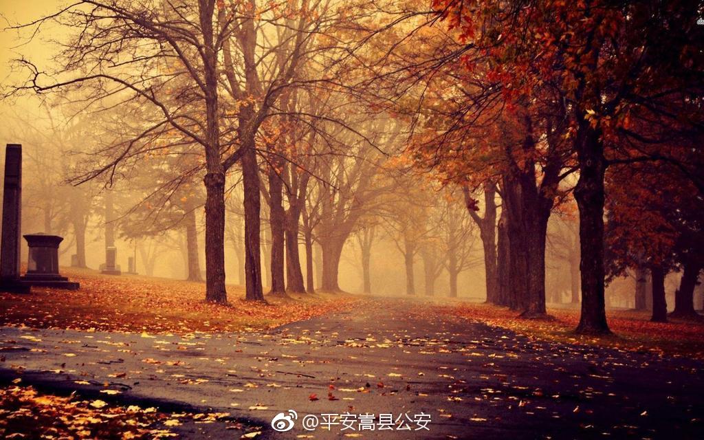 学会放宽心,坦然接受生活中的不如意,才能继续